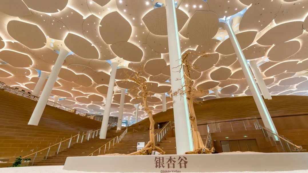 0_1744785173_图片2.png 0_1744785173_图片2.png